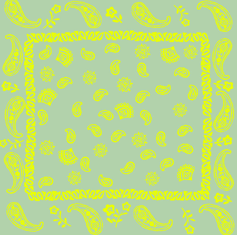 Sanae Top Neon Bandana